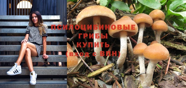 гашишное масло Михайловск