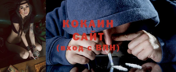 тгк Михайлов