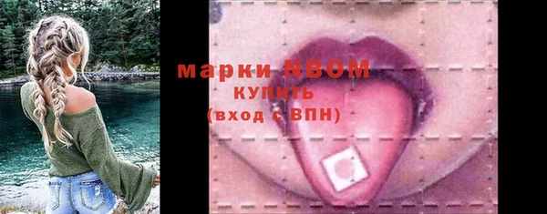 тгк Михайлов