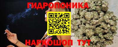 круглые Апшеронск